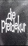 Die Pferdekur