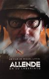 Allende in His Maze