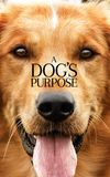 A Dog's Purpose