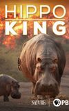 Hippo King