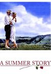 A Summer Story