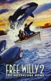 Free Willy 2: The Adventure Home