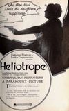 Heliotrope