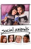 Social Animals