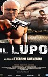 Il Lupo