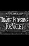 Orange Blossoms for Violet