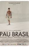 Pau Brasil