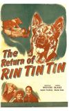 The Return of Rin Tin Tin