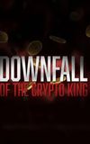 Downfall of the Crypto King