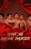 Son of Macho Dancer