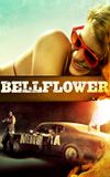 Bellflower