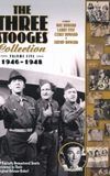 The Three Stooges Collection, Vol. 5: 1946-1948