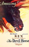 Rex the Devil Horse