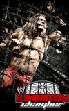 WWE Elimination Chamber 2011