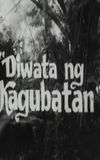 Diwata ng Kagubatan