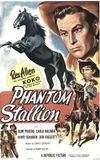 Phantom Stallion