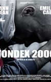 TONDEX 2000