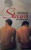 Steam: The Turkish Bath