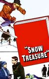 Snow Treasure