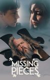 Missing Pieces