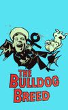 The Bulldog Breed