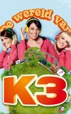 The World of K3