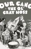 The Ol' Gray Hoss