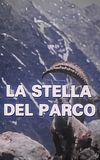 La Stella Del Parco