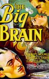 The Big Brain