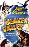 Beaver Valley