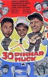 30 pinnar muck