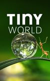 Tiny World