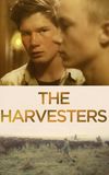 The Harvesters