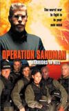 Operation Sandman