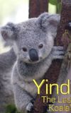 Grainger's World: Yindi: The Last Koala?