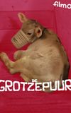 De grotzepuur