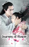 The Journey of Flower