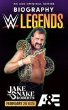 Biography: Jake 'The Snake' Roberts