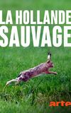 La Hollande sauvage -  La faune des polders