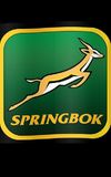 Springbok