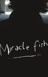 Miracle Fish