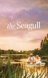 The Seagull