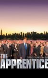 The Apprentice