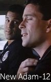 The New Adam-12