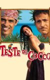 Teste di cocco