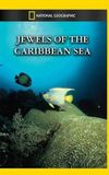 Jewels of the Caribbean Sea