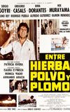 Entre Hierba, Polvo y Plomo