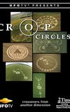 Crop Circles: Crossovers from Another Dimension...