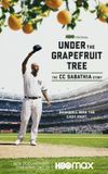 Under The Grapefruit Tree: The CC Sabathia Story