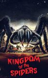 Kingdom of the Spiders